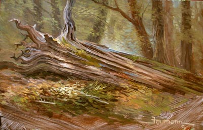 The Fallen Totem, Opus 1