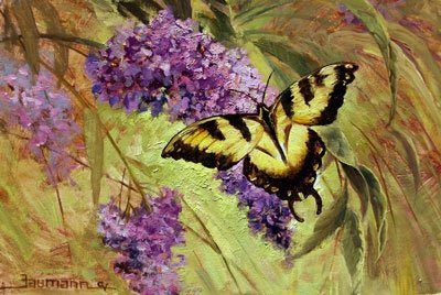 Grand View Butterflies Opus 1