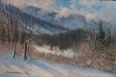  Stefan Baumann ~ After the Storm Opus 1 ~ Oil- 6x 9