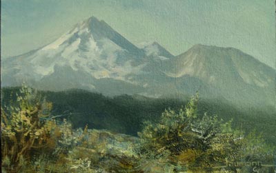 Shasta From The North