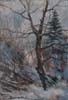Hammond Ranch Oak In The Snow Oil ~6 x 9