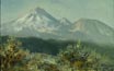 Shasta From The North