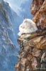 Sunday Morning on the Cliff- Oil on Panel 6x9