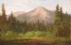 View From Shasta Medow