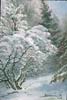 Winter Dogwood Opus 1 Oil ~6 x 9